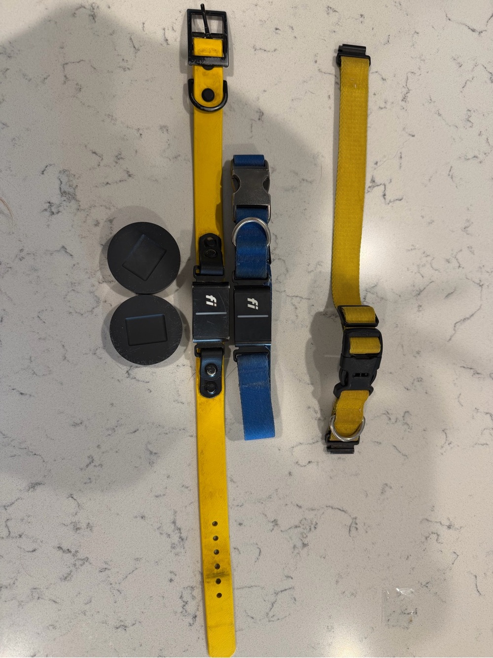 Fi Collar (tracking dog collar)